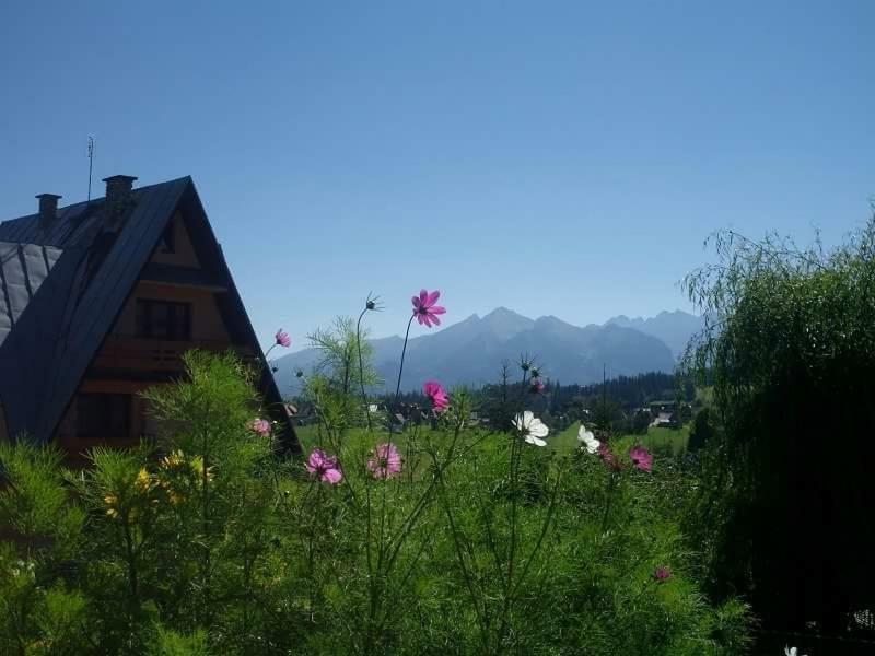 Agrotatry U Stachy Villa Bukowina Tatrzanska Exterior photo